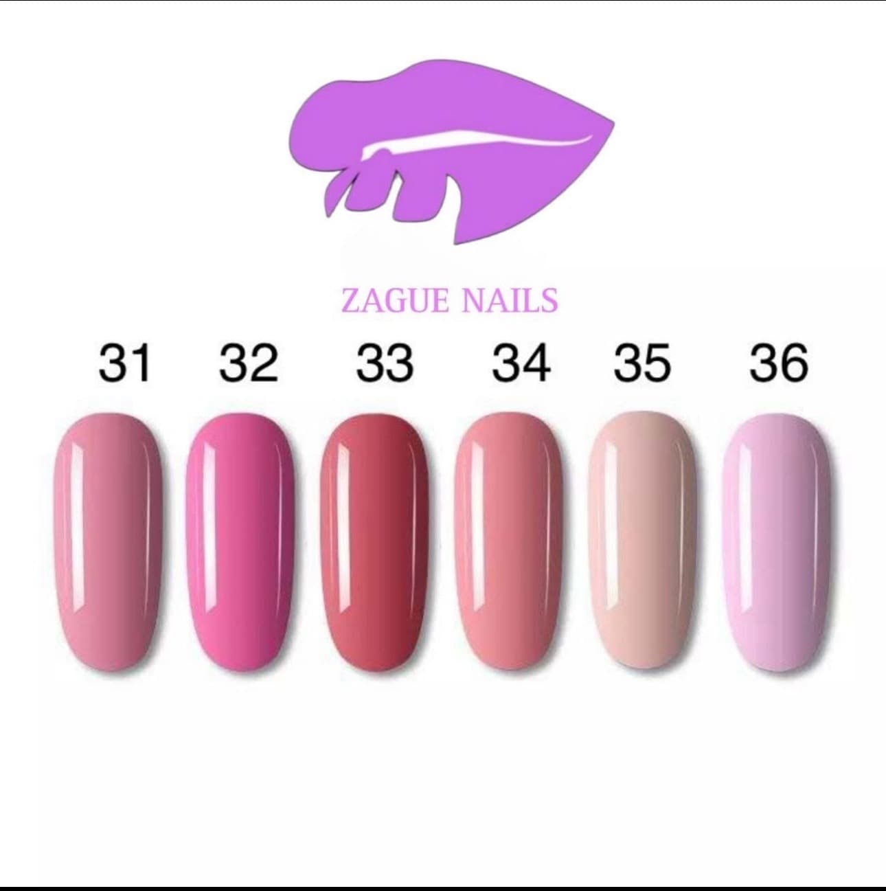 Color del #31 al #36