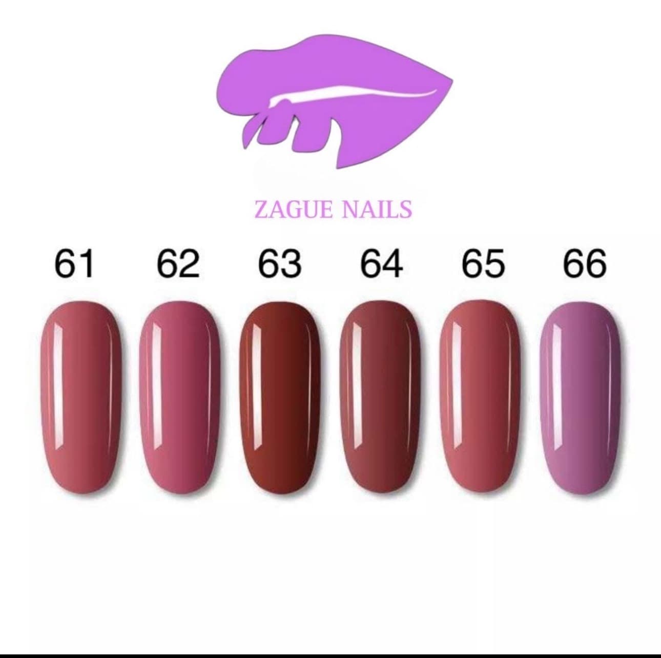 Color del #61 al #66